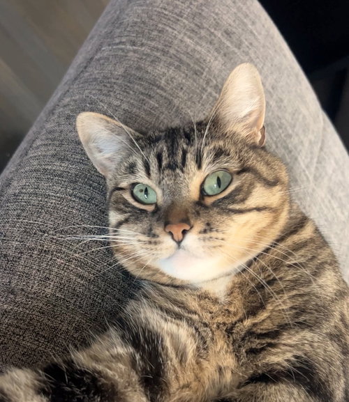 Millie