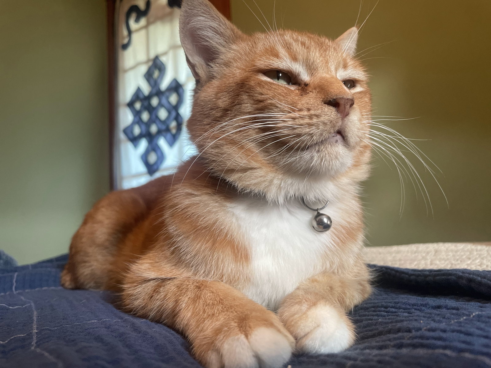 Sol