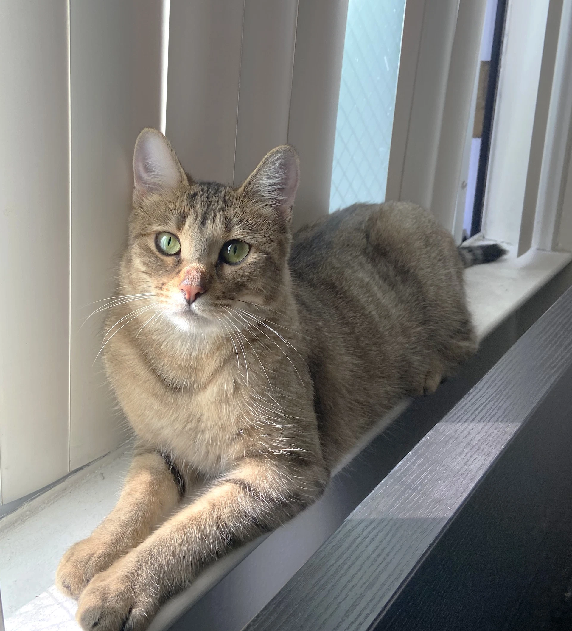 Penelope