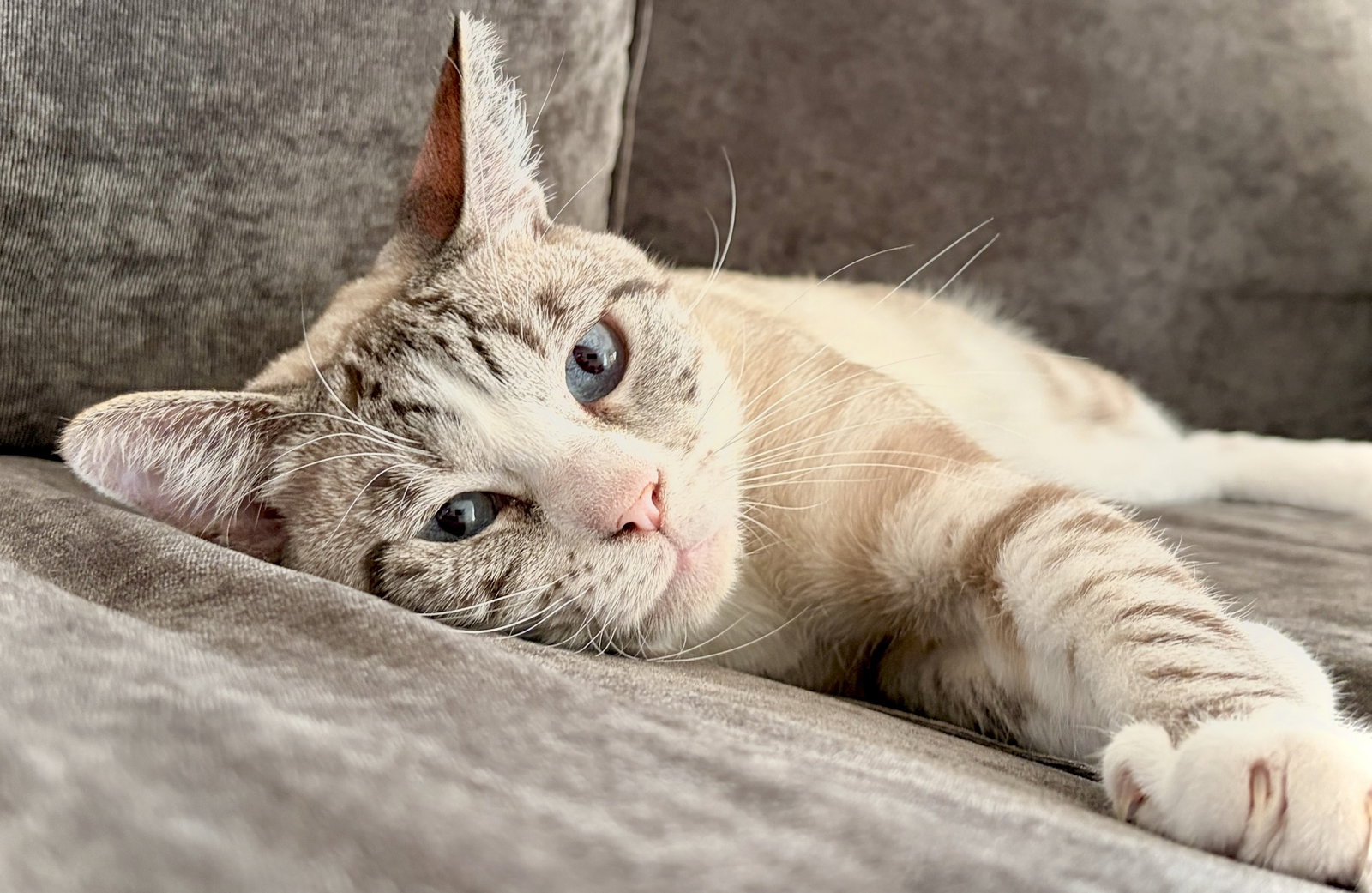 Quincy
