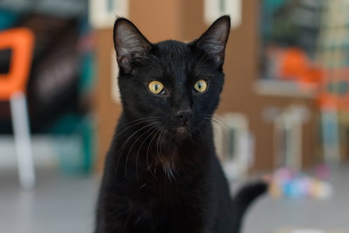 Photo 2 of Sprocket