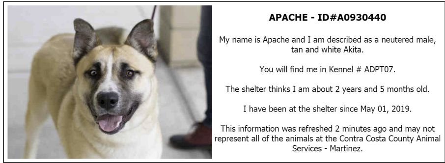 Apache - A0930440