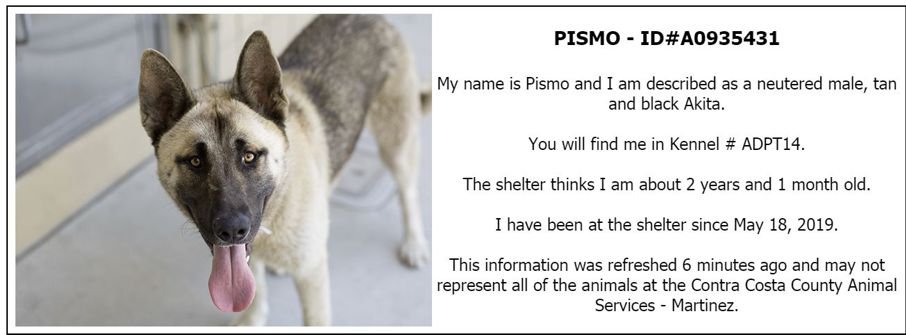 Pismo - A0935431
