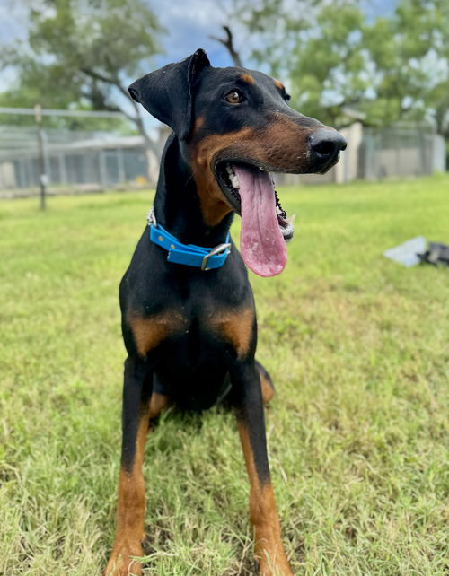 Murphy