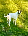 Buster