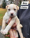 Finley