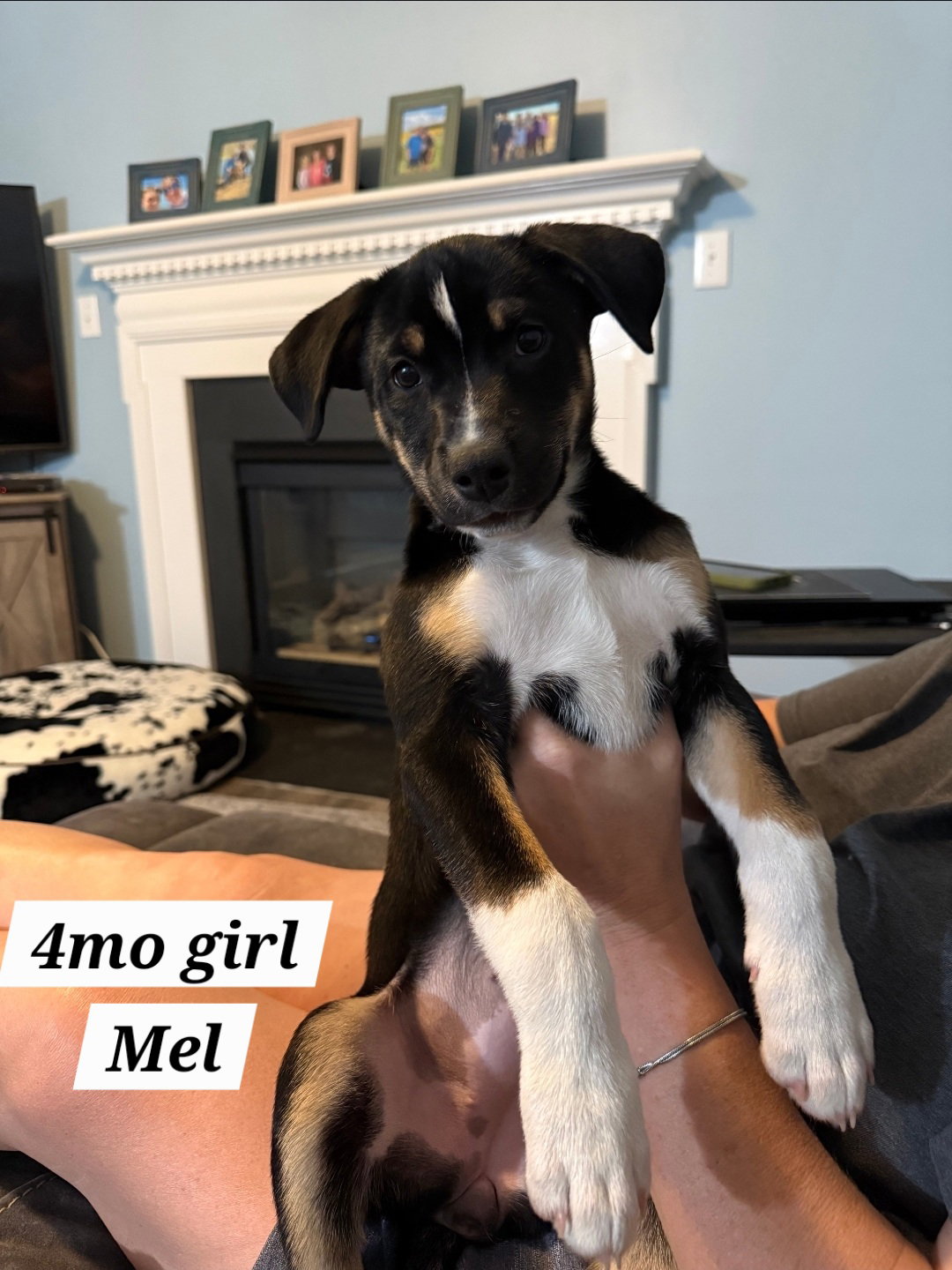 Mel Image