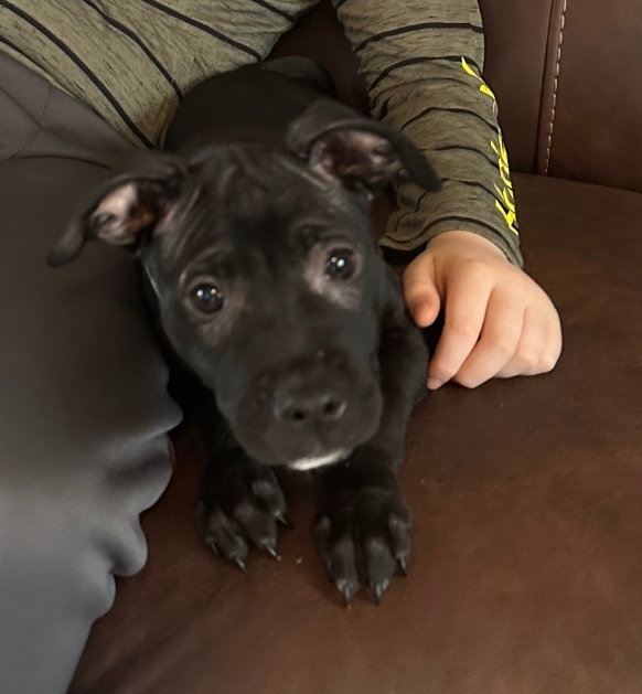 Luna