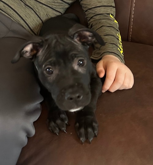 Luna
