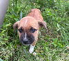 Jenny