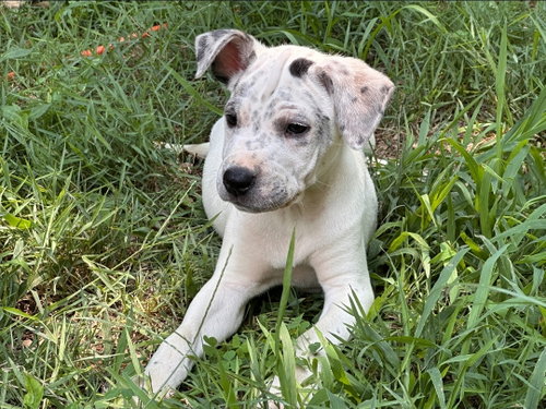 Etta photo 2