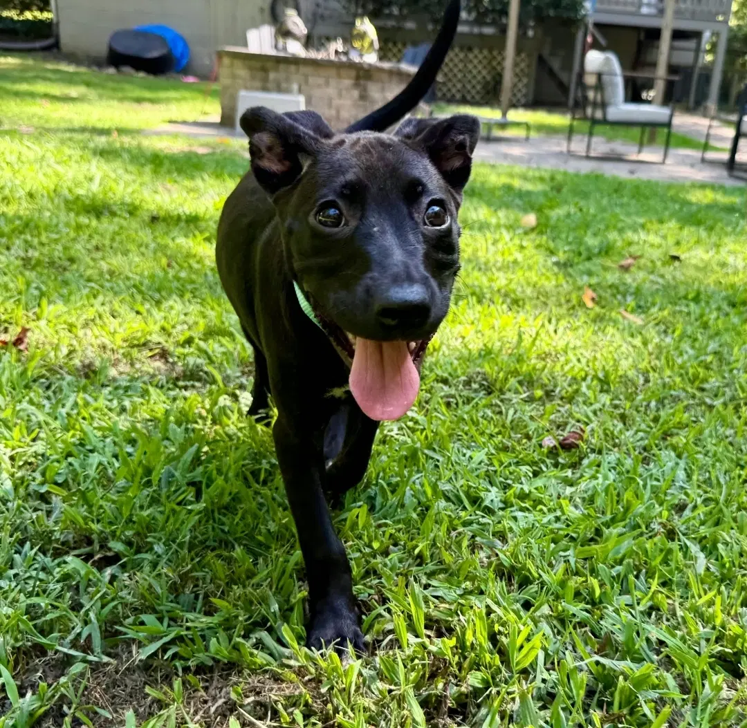 Xena image 4
