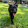 Xena