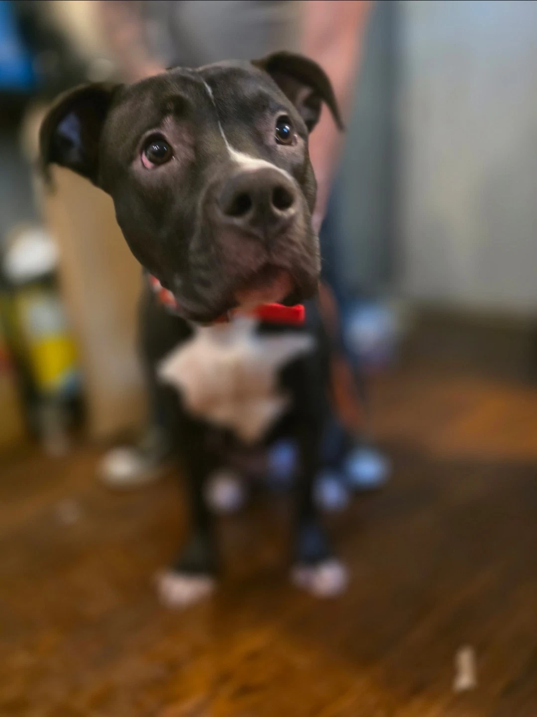 Murphy
