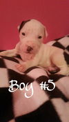 Baby BOY #5