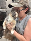adoptable Cat in pampa, TX named Suzie-Q