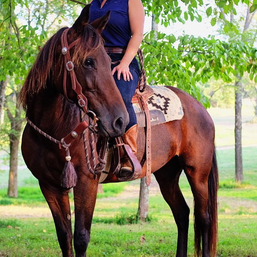 Buttercup photo 6