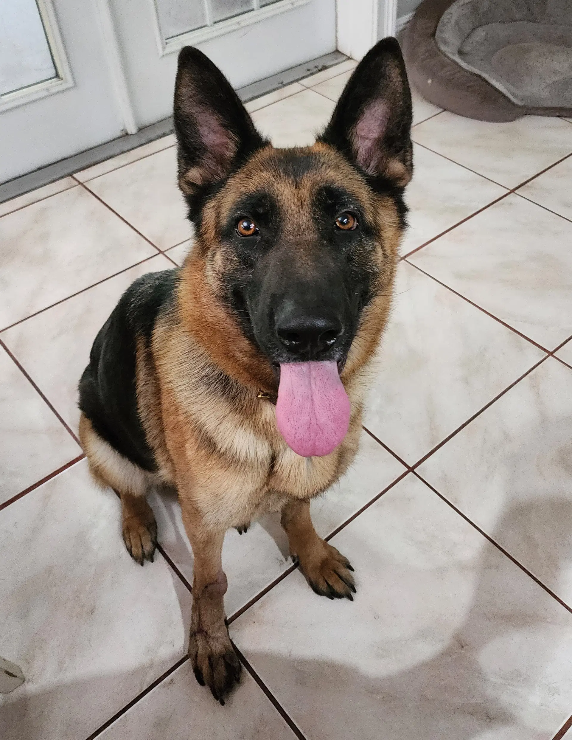 Mila image 2