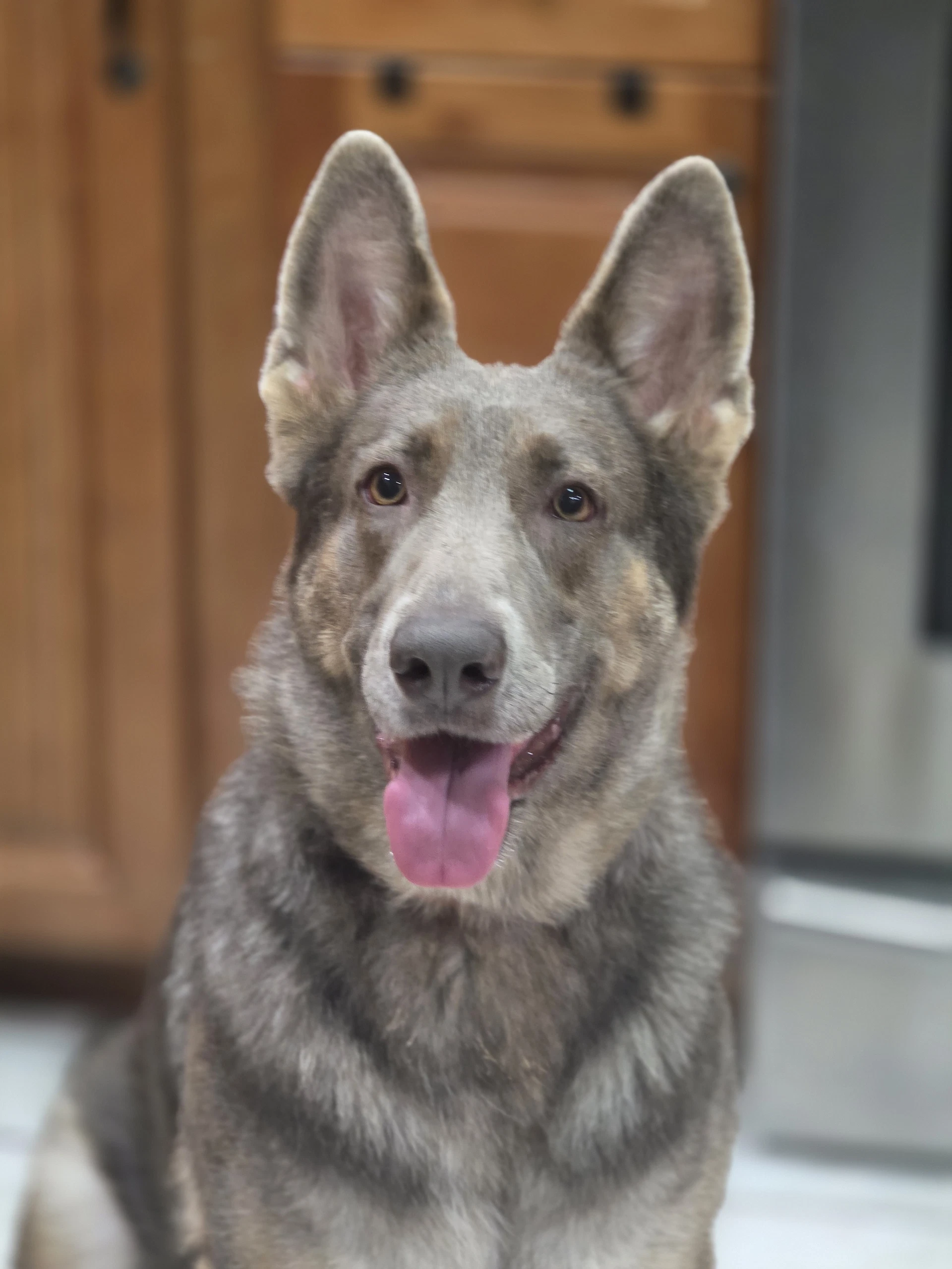 Cocoa