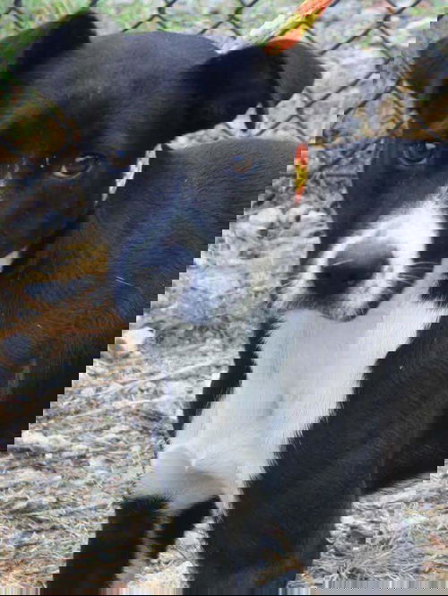 Kya