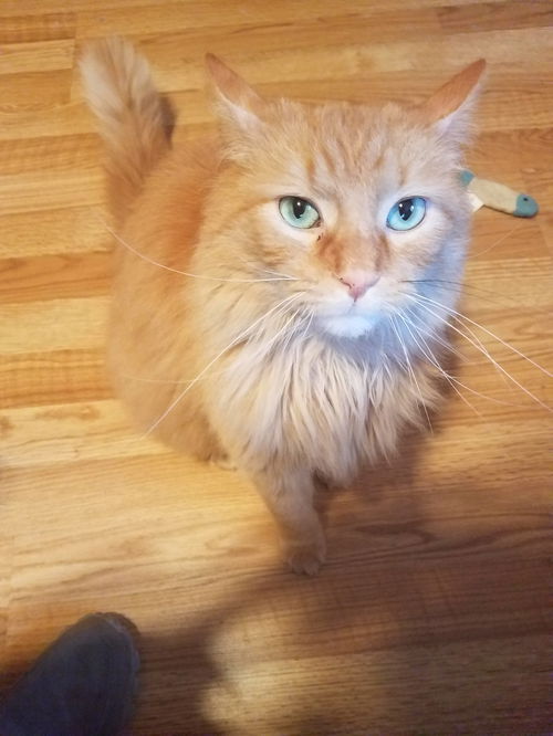 Big Red