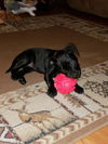 Asti