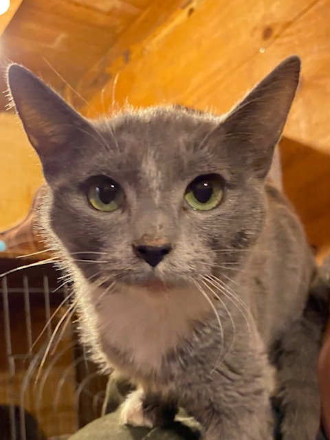 Tabasco