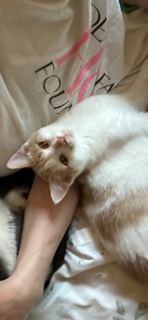 Lily