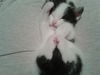 KatieBug
