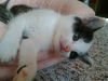 KatieBug
