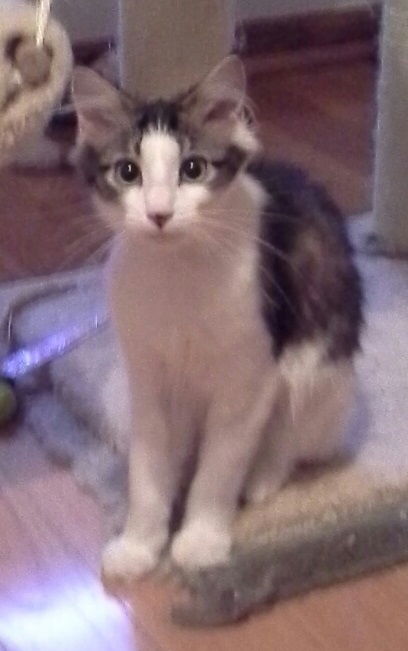 Sweetpea (Zoey)