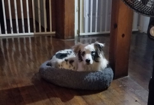 Isabelle photo 5