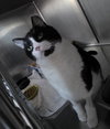 Charles - Photo 3
