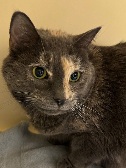 Coco