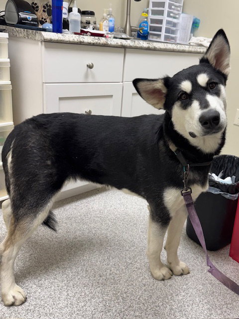 Kita