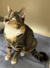 Little Lady - Photo 1