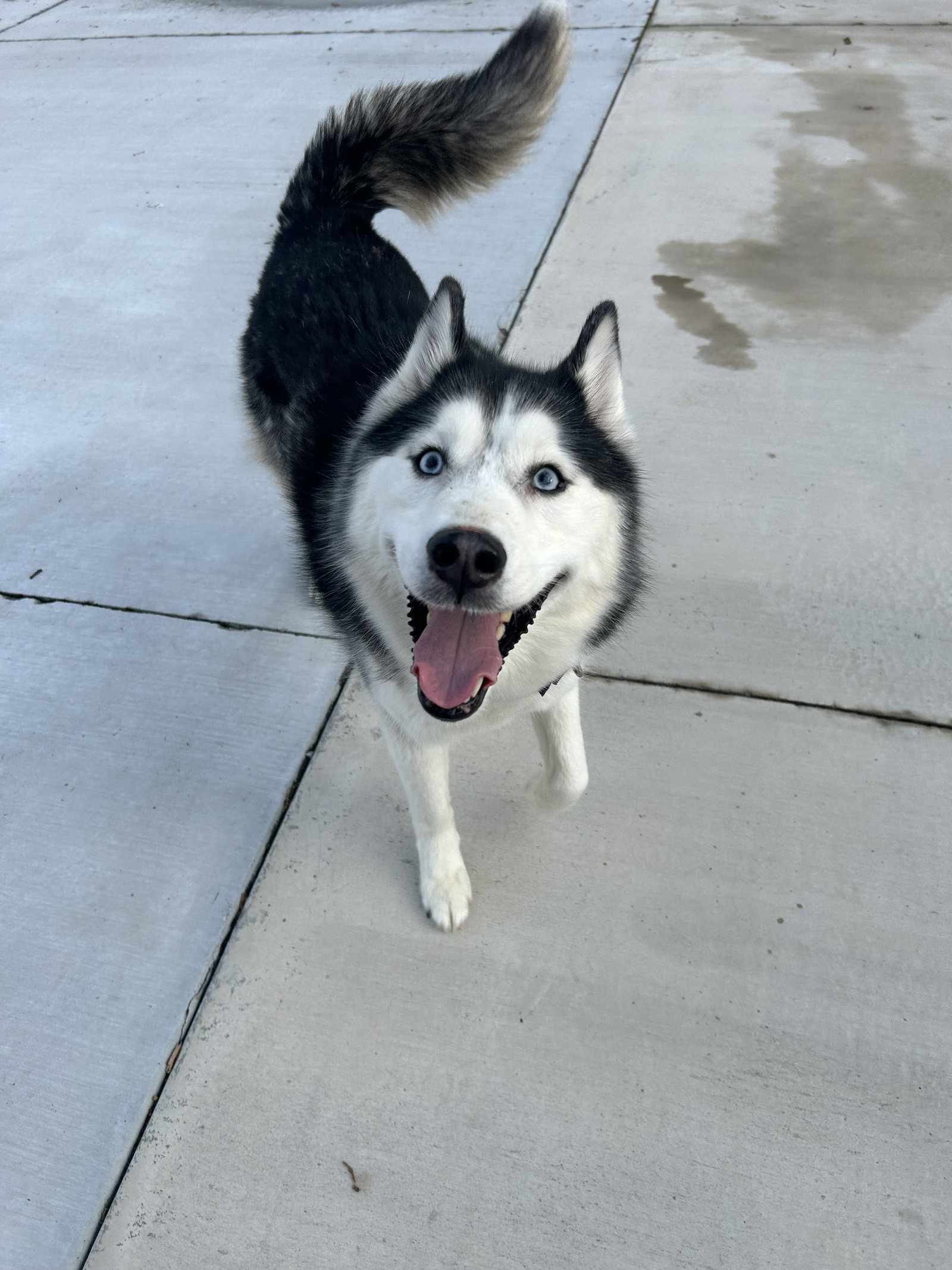 Keya