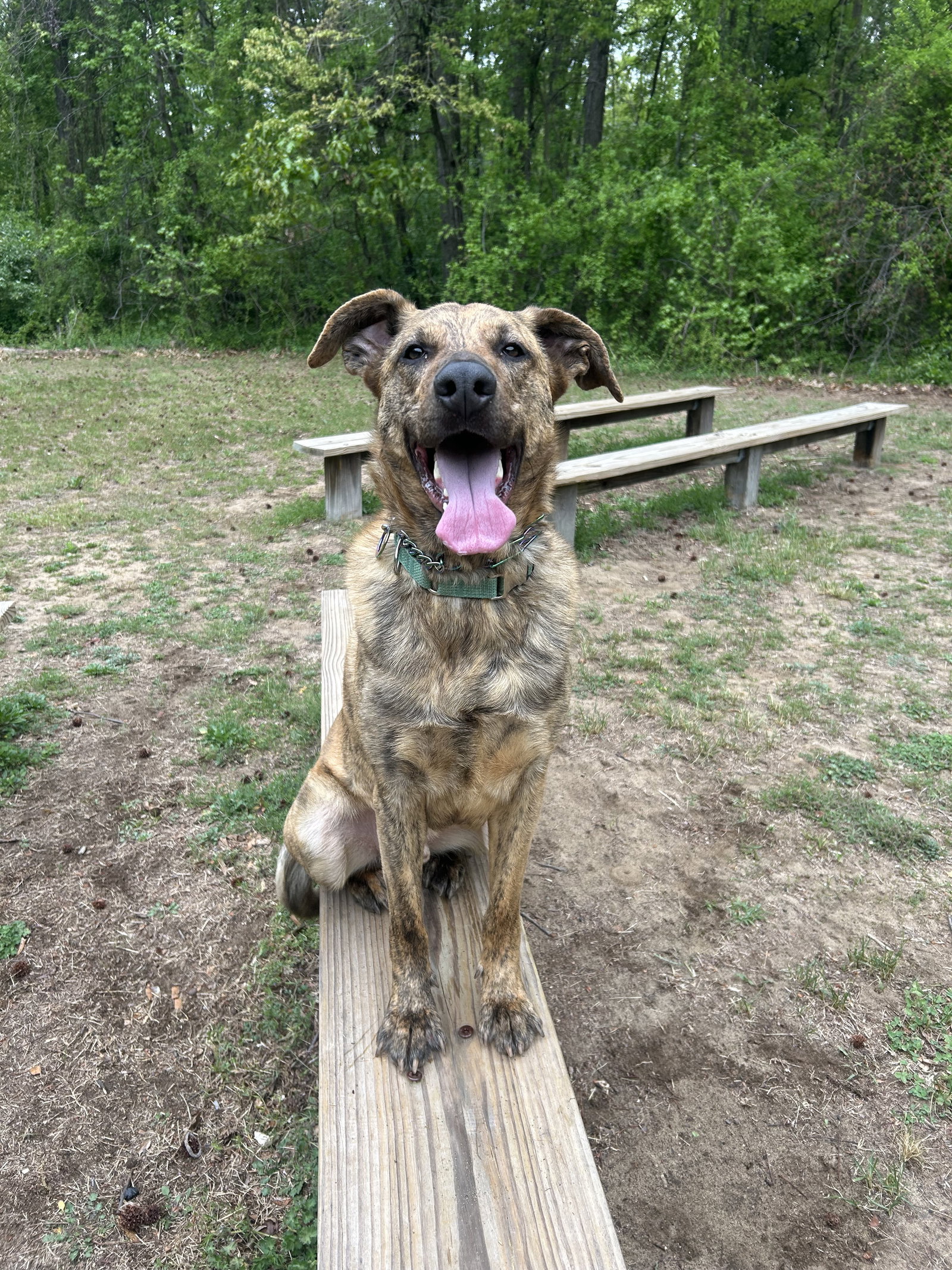 Bruno man