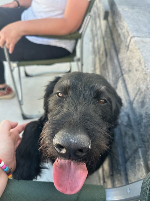 Oreo