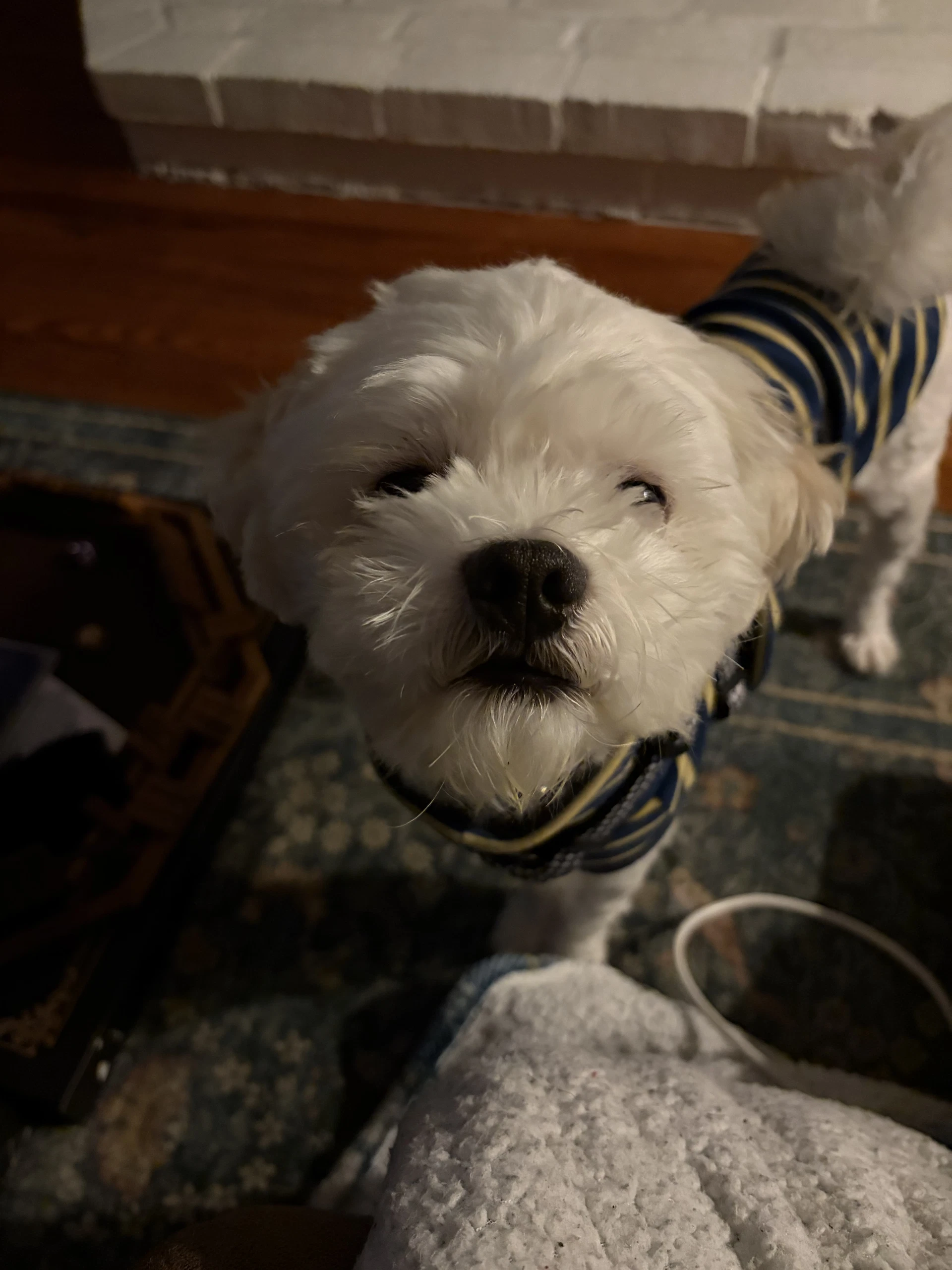 Deuce