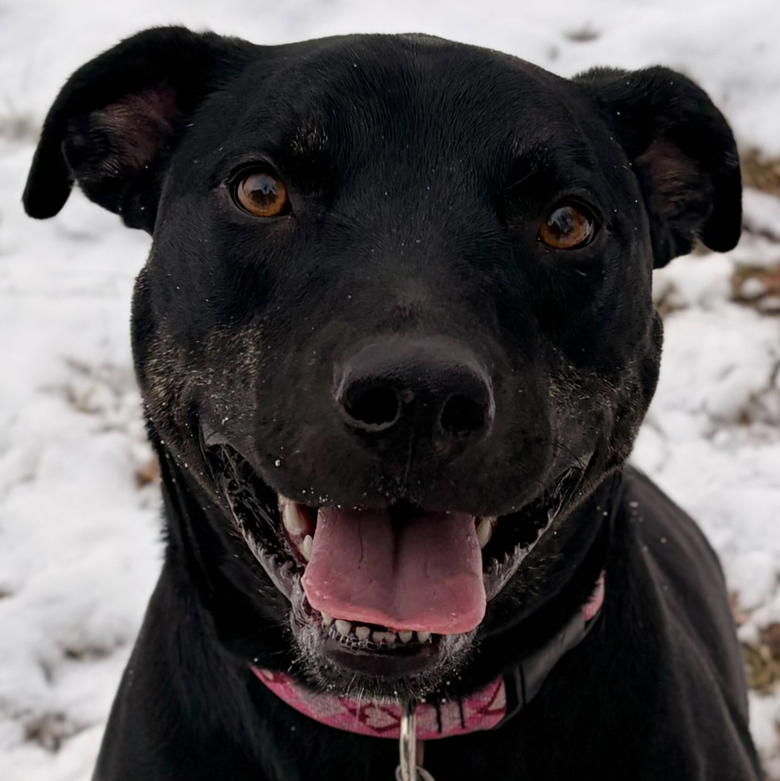 Zoey Image