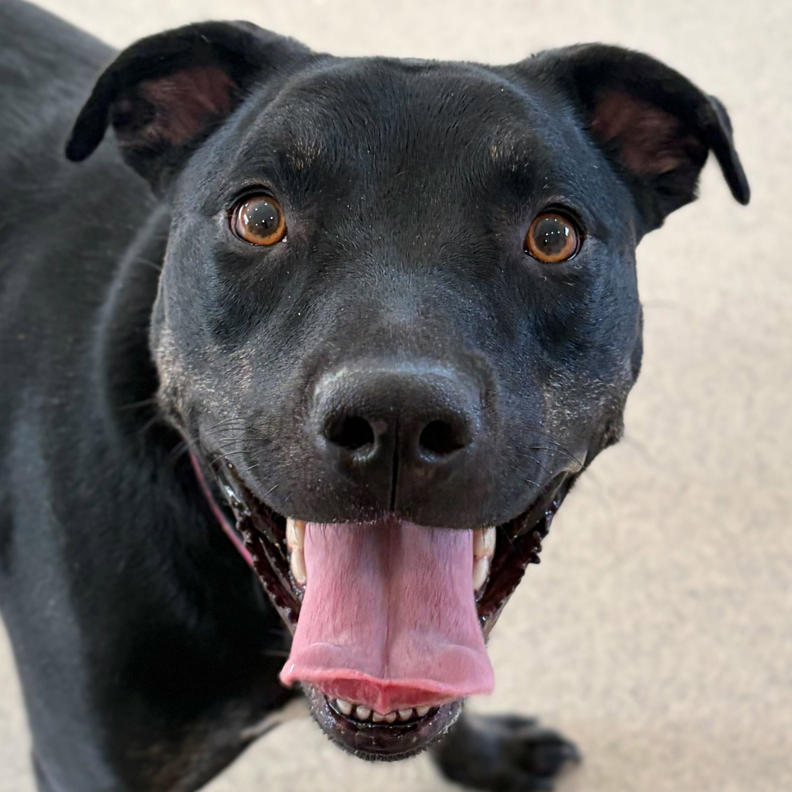 Zoey Image