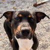 Junie B - Photo 2