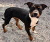 Junie B - Photo 3
