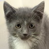 Snowball - Photo 1