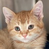 Misfit - Photo 1
