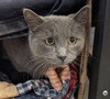 Dan - Reduced Fee! - Photo 2