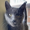 Sam - Reduced Fee! - Photo 1