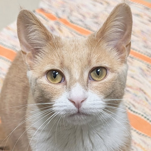 Luna - Reduced Fee!