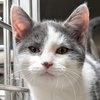 Ralphie - Photo 1